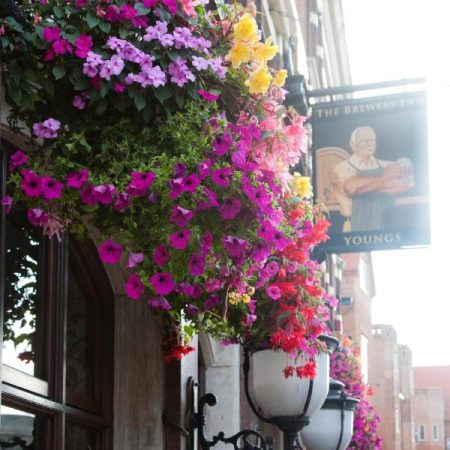 Erschwingliches Romantikhotel in London: The Brewers Inn